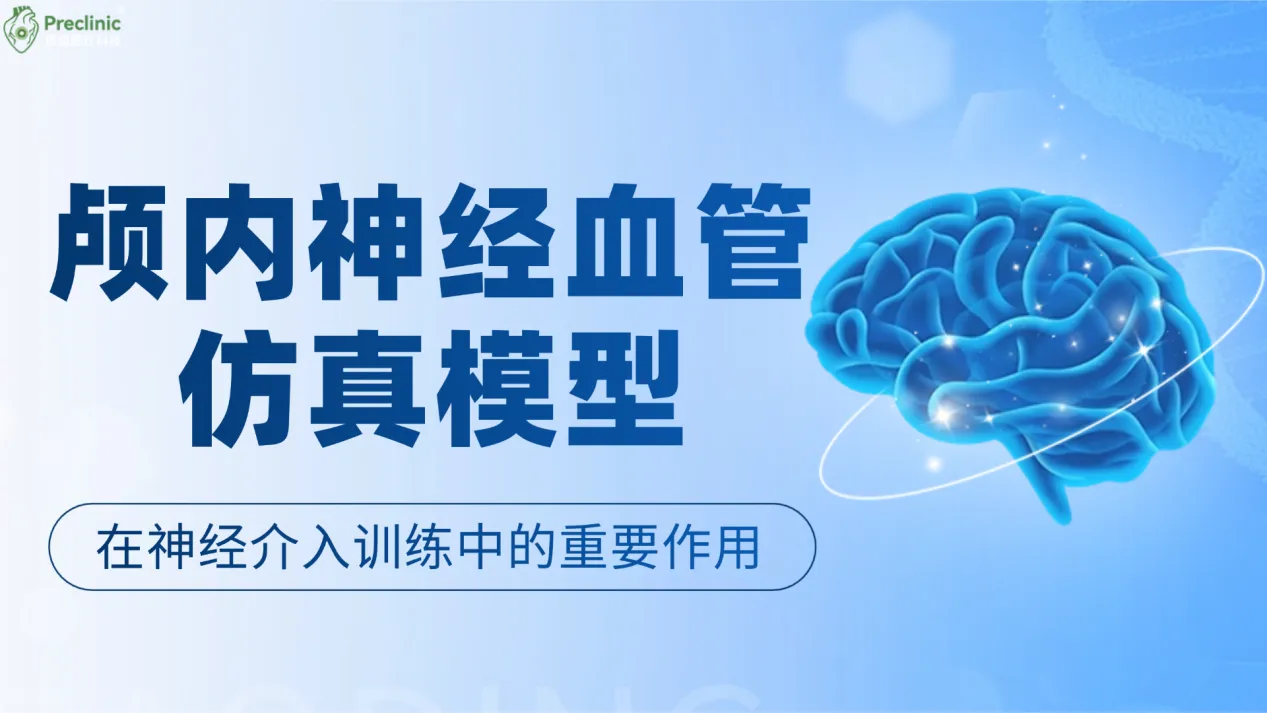 颅内神经血管仿真模型在神经介入训练中的重要作用