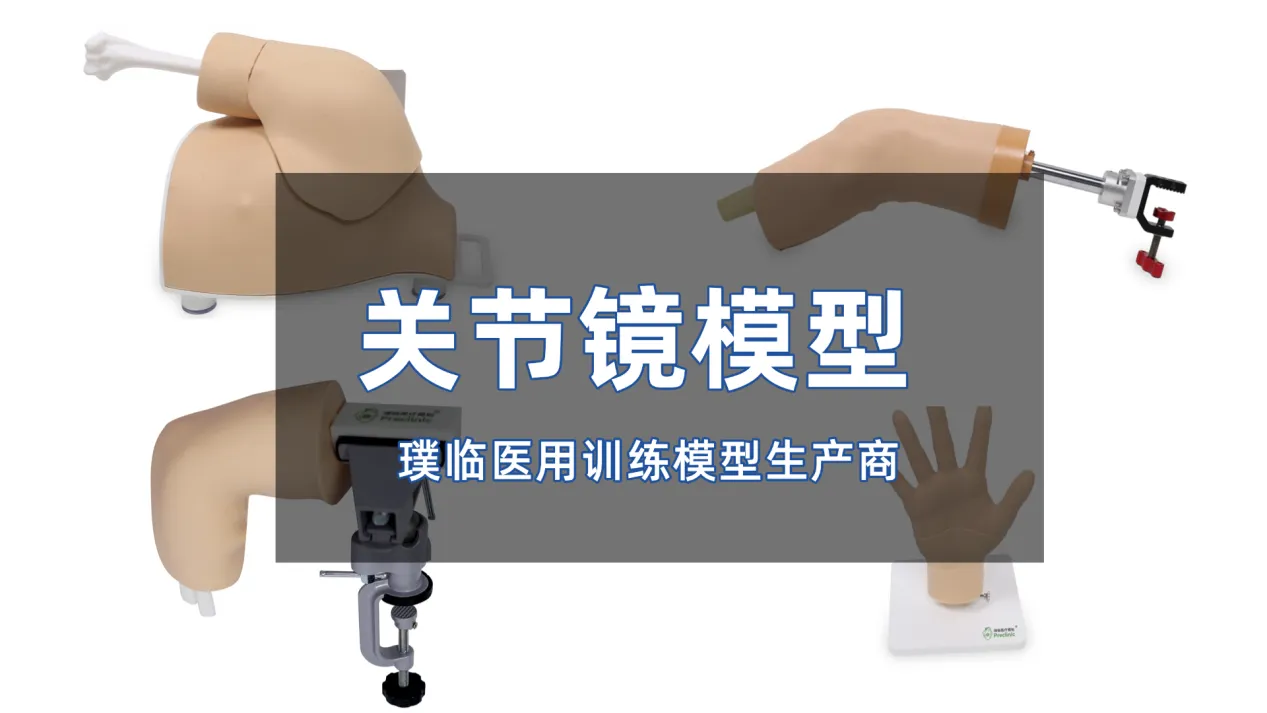 璞临医学模型厂家，打造医用训练专用关节镜模型
