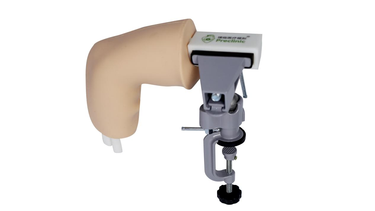 肘关节医用训练模型.png 肘关节医用训练模型.png