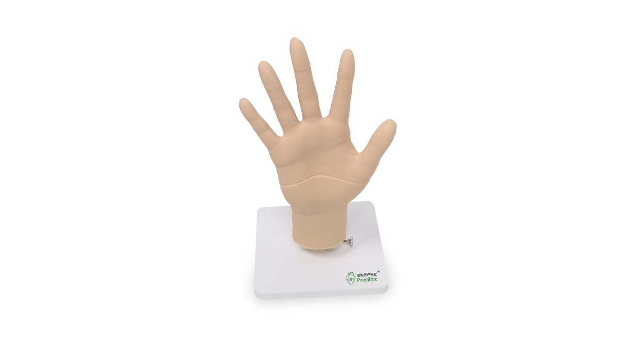 腕关节医用训练模型.png 腕关节医用训练模型.png