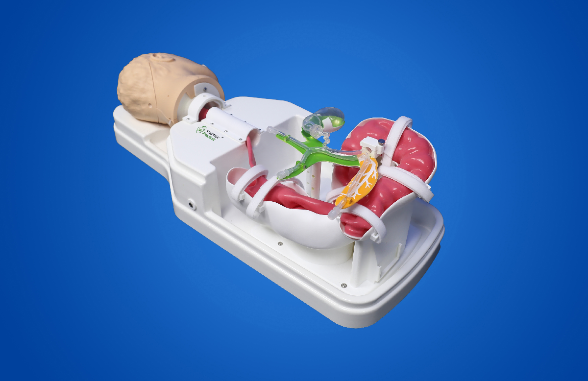 ERCP手术训练模型.png ERCP手术训练模型.png