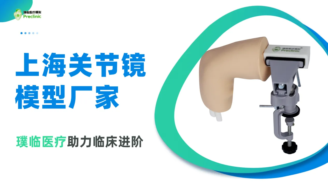 上海关节镜模型厂家，璞临医疗助力临床进阶