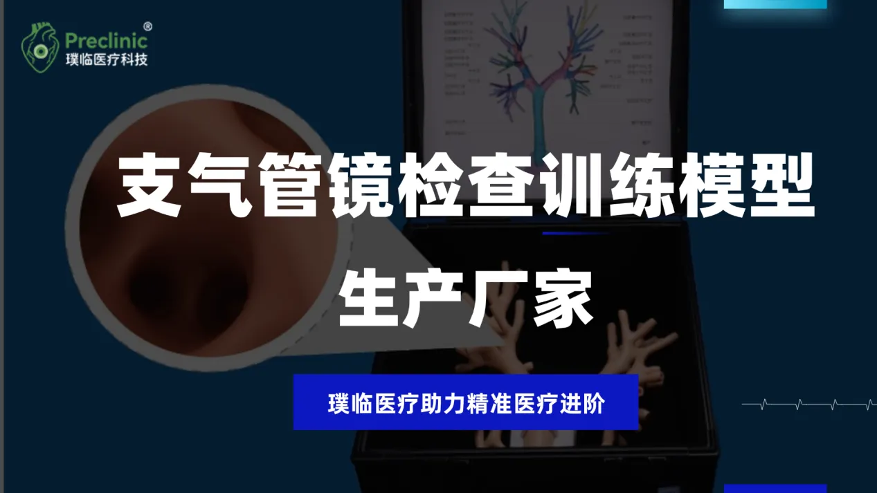支气管镜检查训练模型生产厂家，璞临医疗助力精准医疗进阶