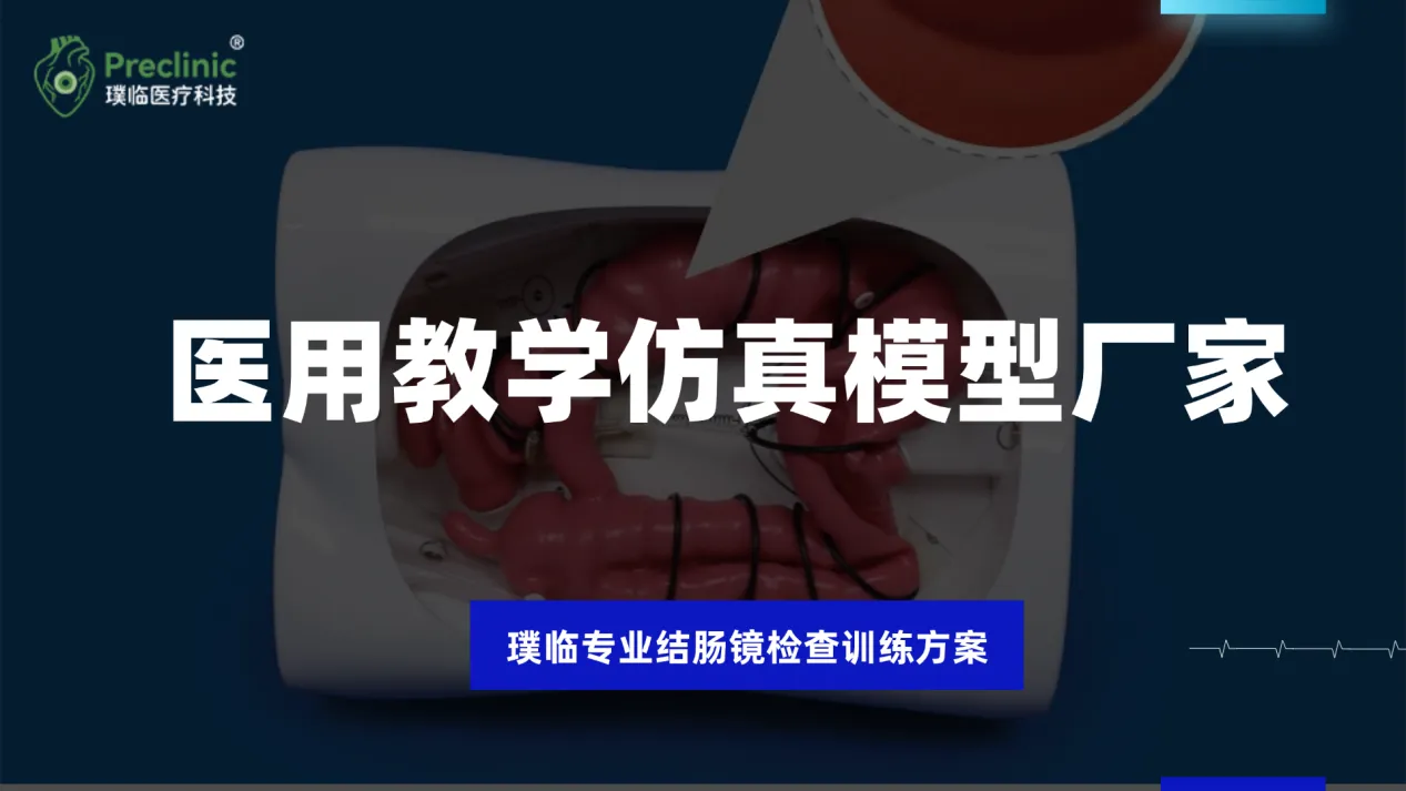 上海医用教学仿真模型厂家，璞临专业结肠镜检查训练方案