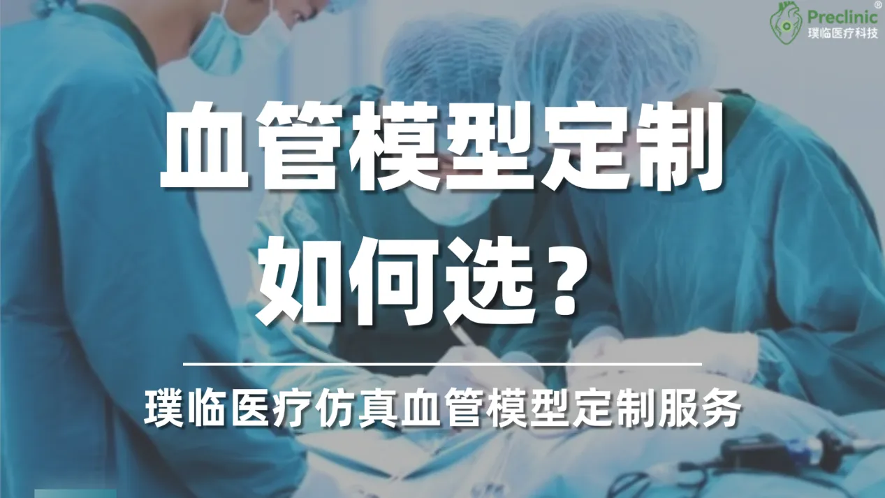 血管模型定制找哪家？璞临医疗仿真血管模型定制服务