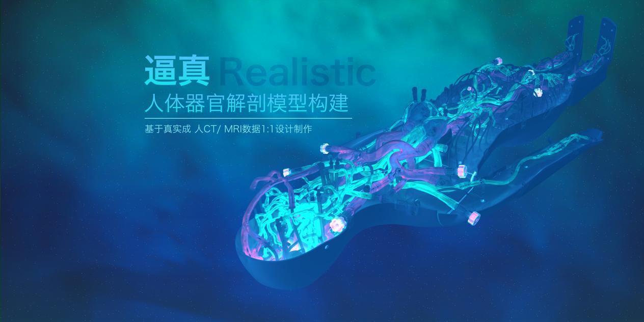 璞临逼真Realistic人体器官模型.png