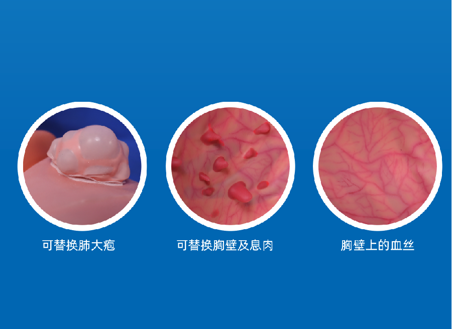 璞临内科胸腔镜模型.png