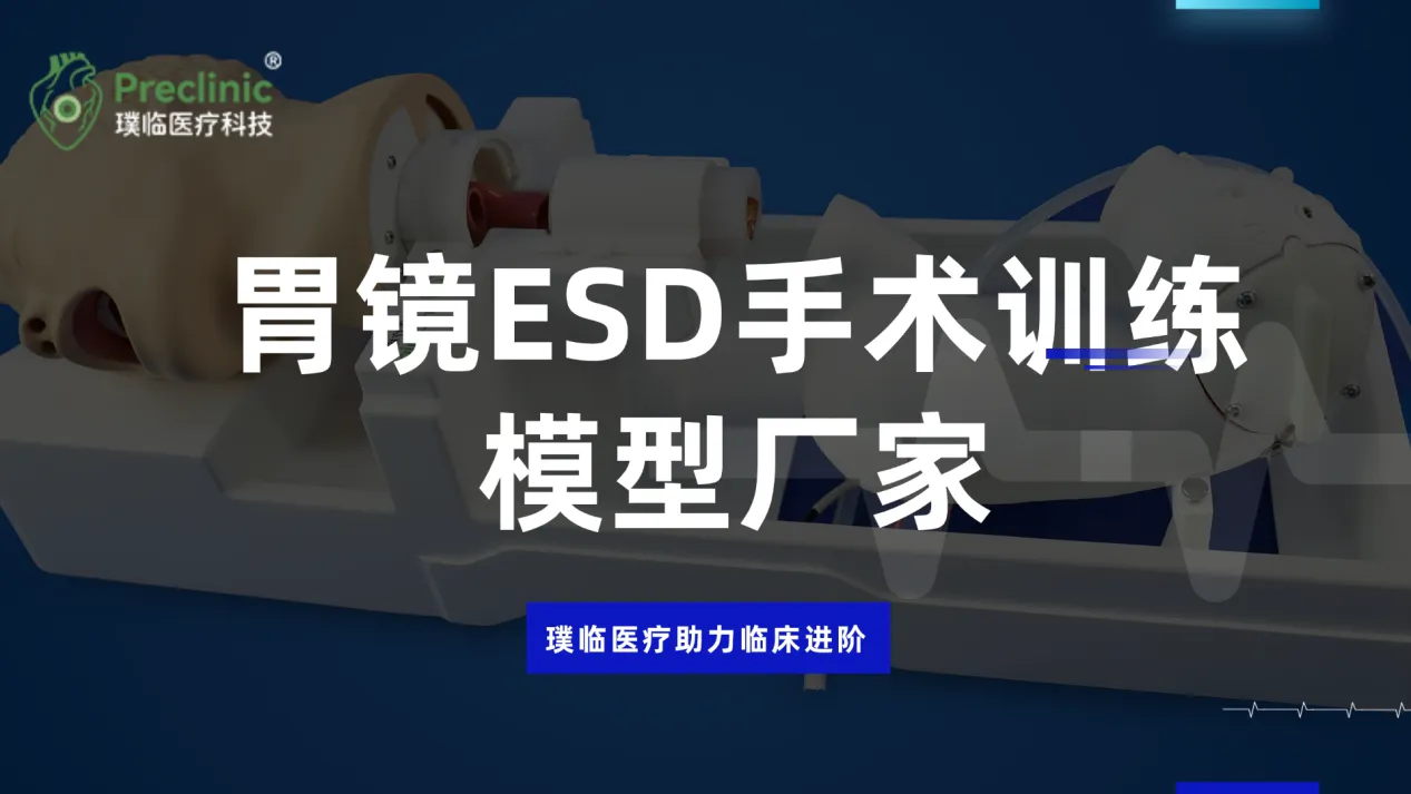 胃镜ESD手术训练模型厂家，璞临医疗助力临床进阶
