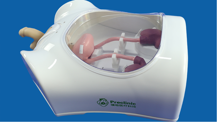 泌尿内镜训练模型.png 泌尿内镜训练模型.png