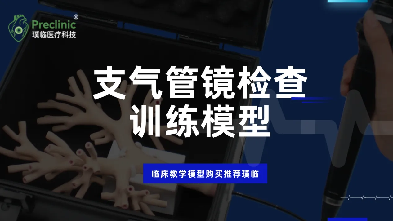 支气管模型制造商，临床教学模型购买推荐璞临