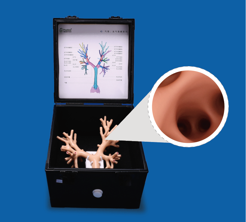 璞临支气管镜检查训练模型.png 璞临支气管镜检查训练模型.png