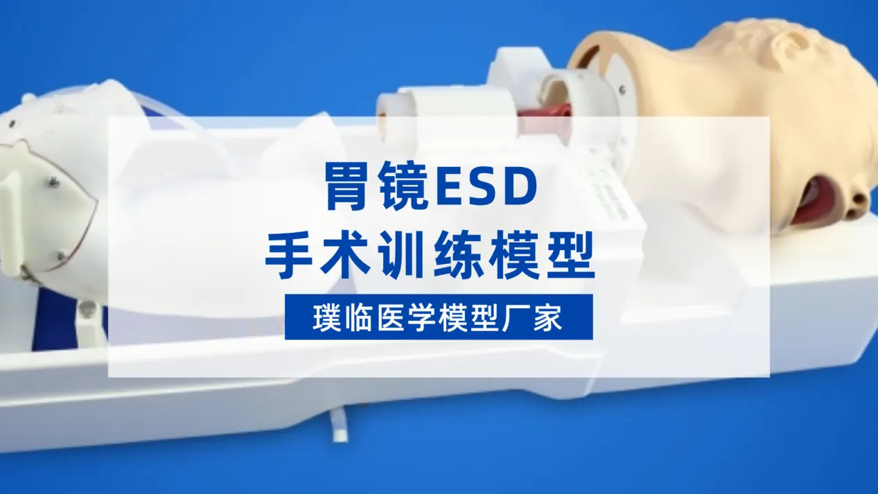璞临胃镜ESD手术训练模型，助力医学训练高效安全