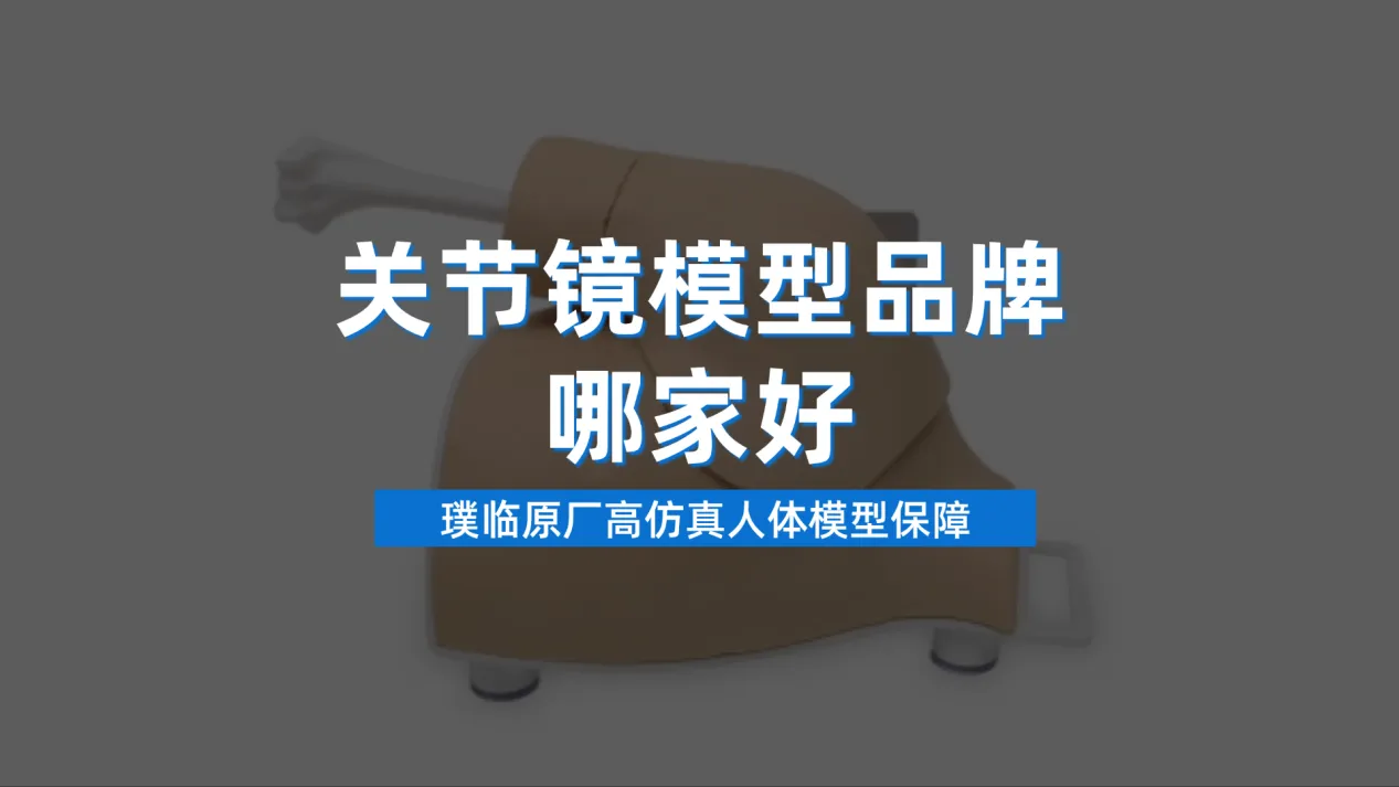 关节镜模型品牌哪家好？璞临原厂高仿真人体模型保障