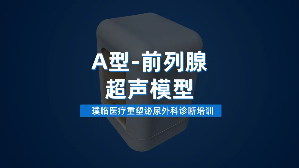 璞临医疗A型-前列腺超声模型，重塑泌尿外科诊断培训