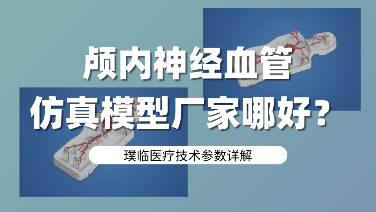 颅内神经血管仿真模型厂家哪家好？璞临医疗技术参数详解