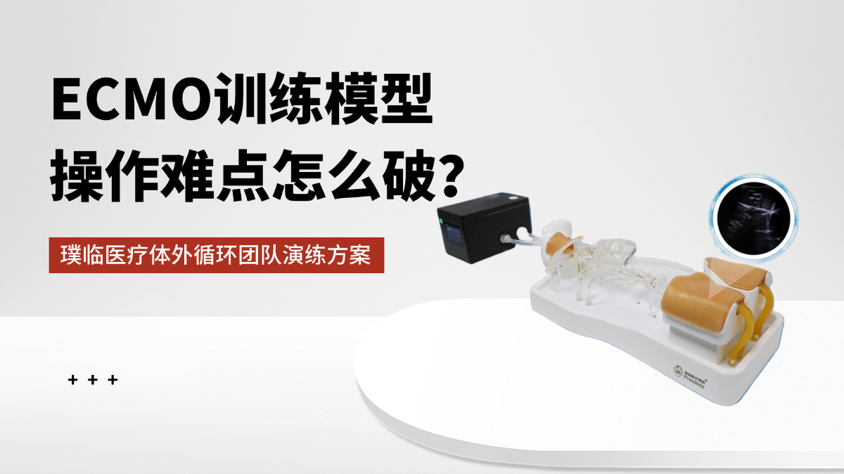 ECMO训练模型操作难点怎么破？