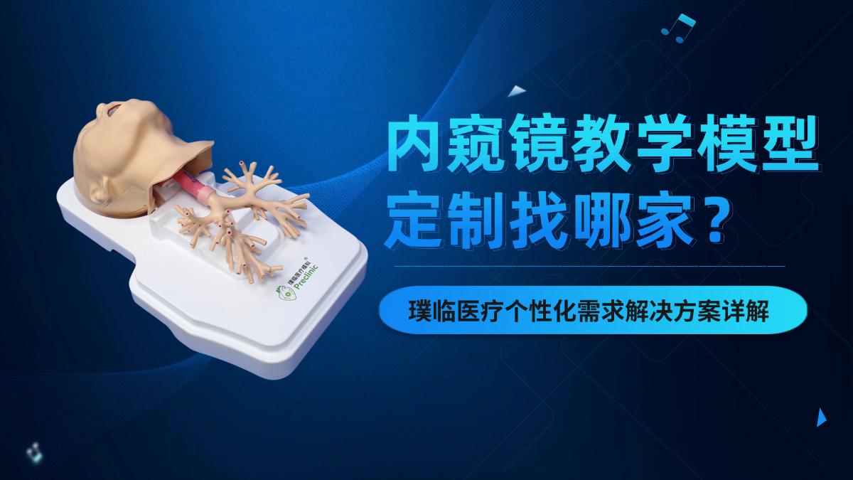 内窥镜教学模型定制找哪家？璞临医疗个性化需求解决方案详解