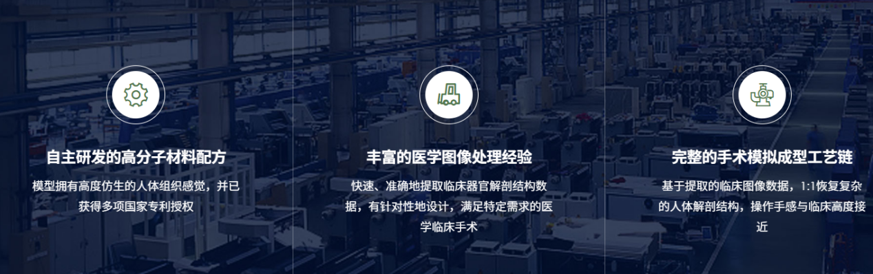 璞临医疗模型特点.png