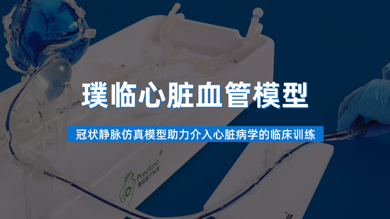 心脏血管模型是如何助力介入心脏病学的临床训练的？