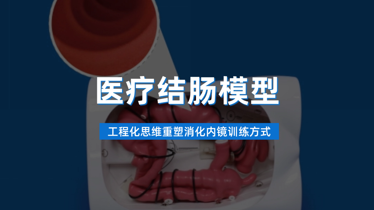 医疗结肠模型如何工程化思维重塑消化内镜训练方式？