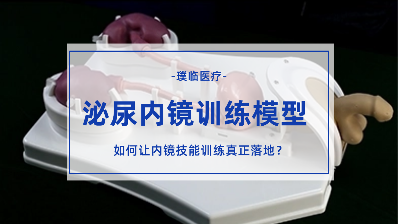 璞临医疗PLMN1001泌尿模型，如何让内镜技能训练真正落地？