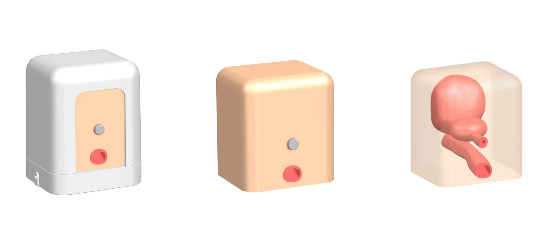 A型-前列腺超声模型三维设计图.png
