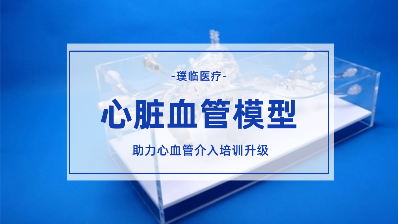 璞临医疗心脏血管模型，助力心血管介入培训升级
