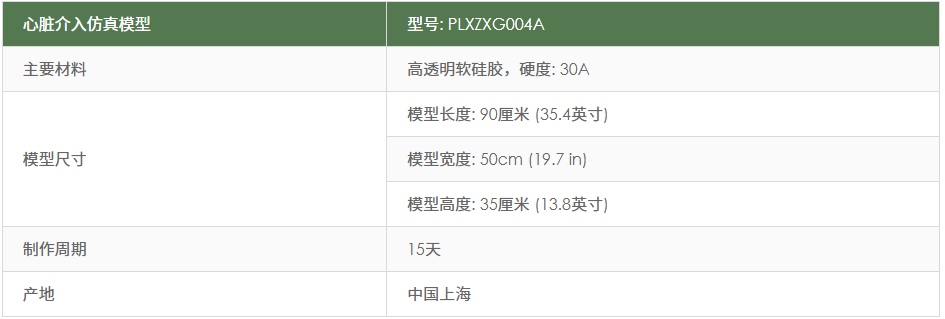 璞临医疗心脏介入仿真模型-A型产品规格.png