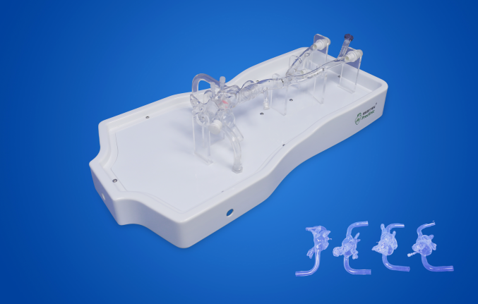 璞临医疗左心耳仿真模型产品图.png