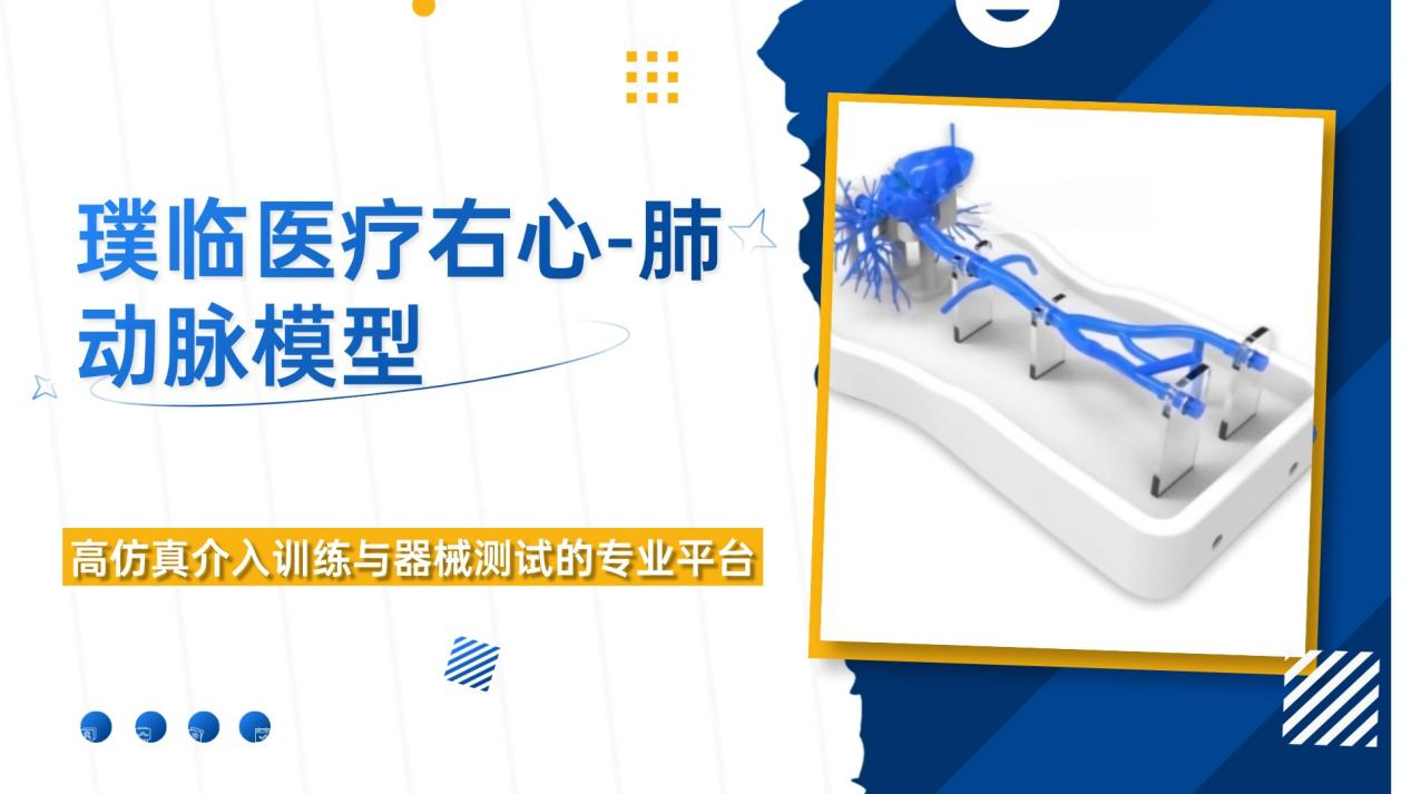 璞临医疗右心-肺动脉模型：高仿真介入训练与器械测试的专业平台
