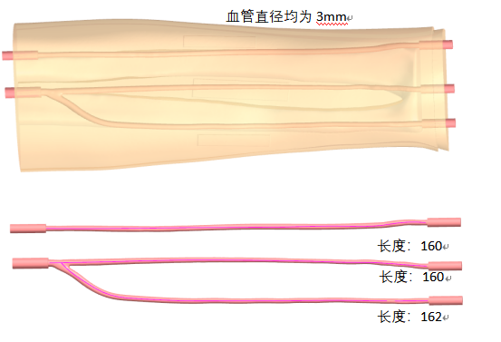 璞临医疗桡动脉穿刺训练模型产品细节图.png