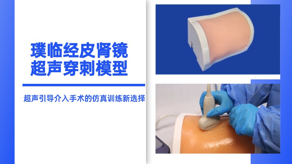 璞临经皮肾镜超声穿刺模型：超声引导介入手术的仿真训练新选择
