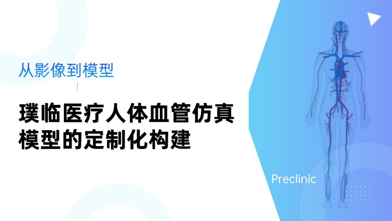 从影像到模型：璞临医疗人体血管仿真模型的定制化构建