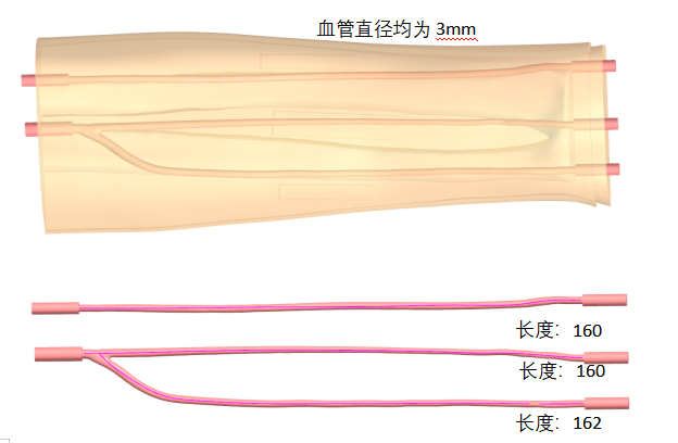 璞临医疗桡动脉穿刺训练模型产品细节设计图.png