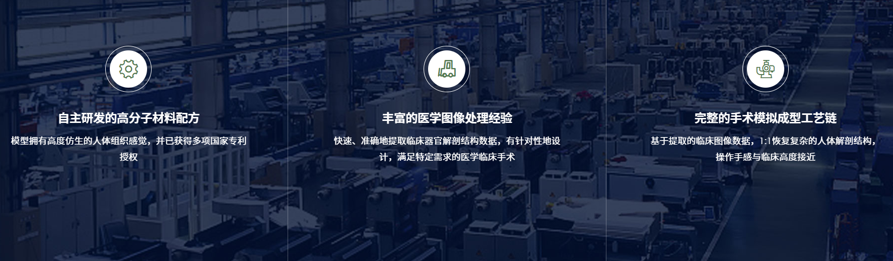 璞临医疗模型特点.png