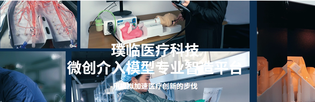 璞临医疗企业核心.png