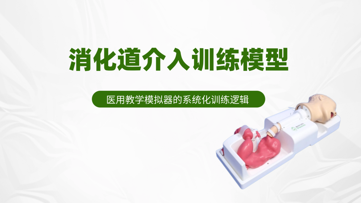 消化道介入训练模型，医用教学模拟器的系统化训练逻辑