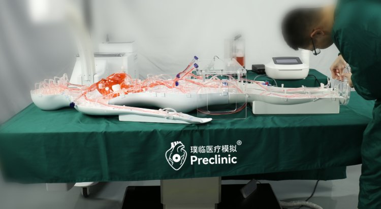 璞临医疗人体血管介入训练模型应用场景.png