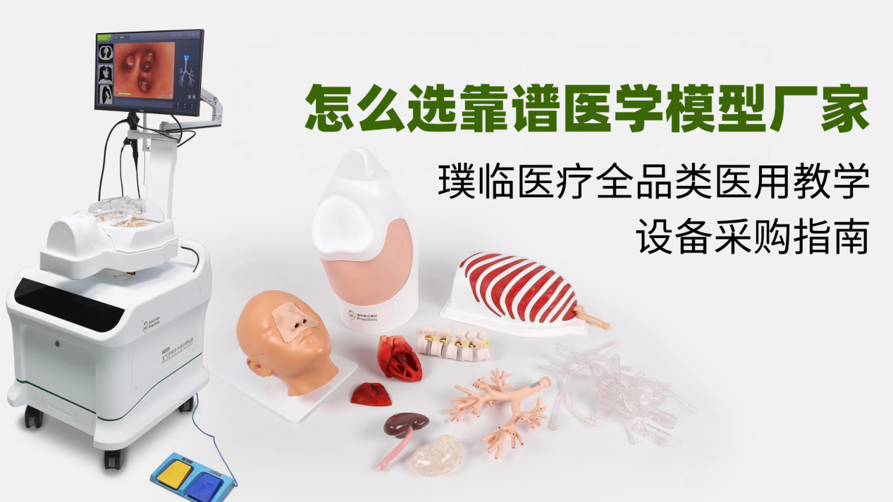 医学模型厂家怎么选？璞临医疗全品类医用教学设备采购指南