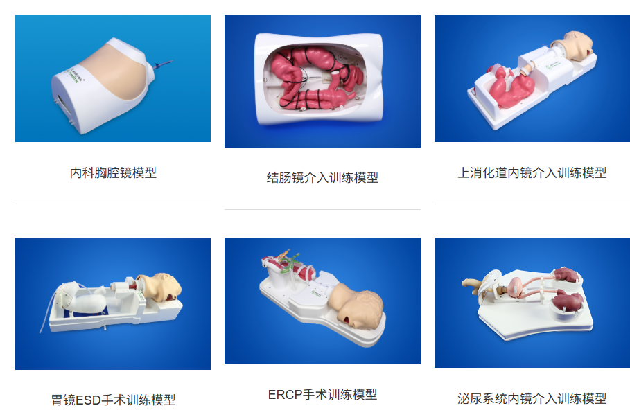 璞临医疗内镜介入类模型.png