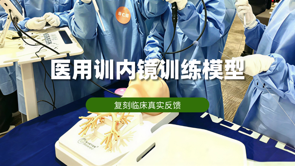 支气管镜训练模型的适配与定制，如何匹配临床真实需求？