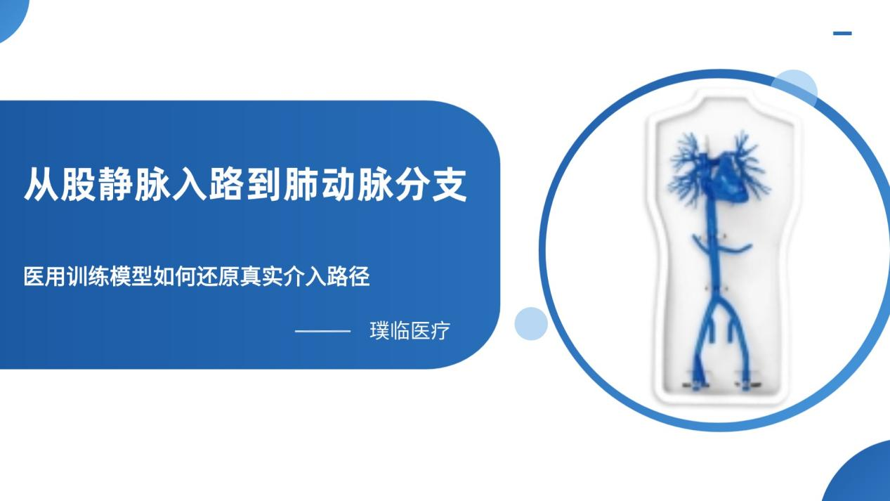 右心-肺动脉介入训练模型：从解剖复现到操作验证的专业平台