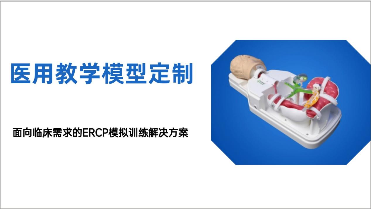 ERCP手术训练模型：从临床需求到医用教学模型定制的系统化路径