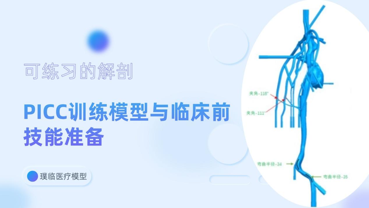 从解剖还原到操作手感：PICC训练模型如何构建临床技能培训的安全支点