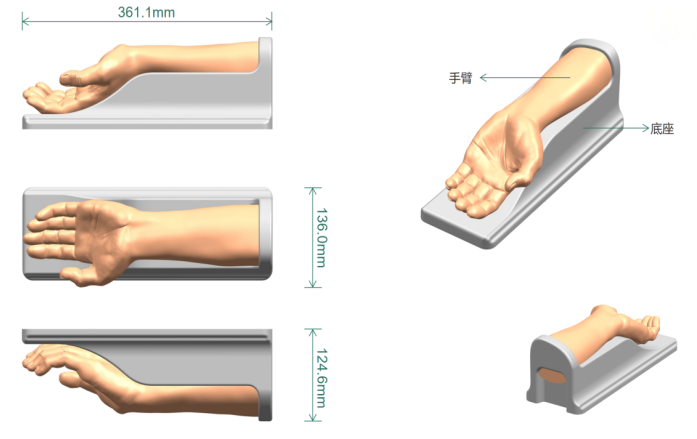 璞临医疗桡动脉穿刺训练模型外观及尺寸.png