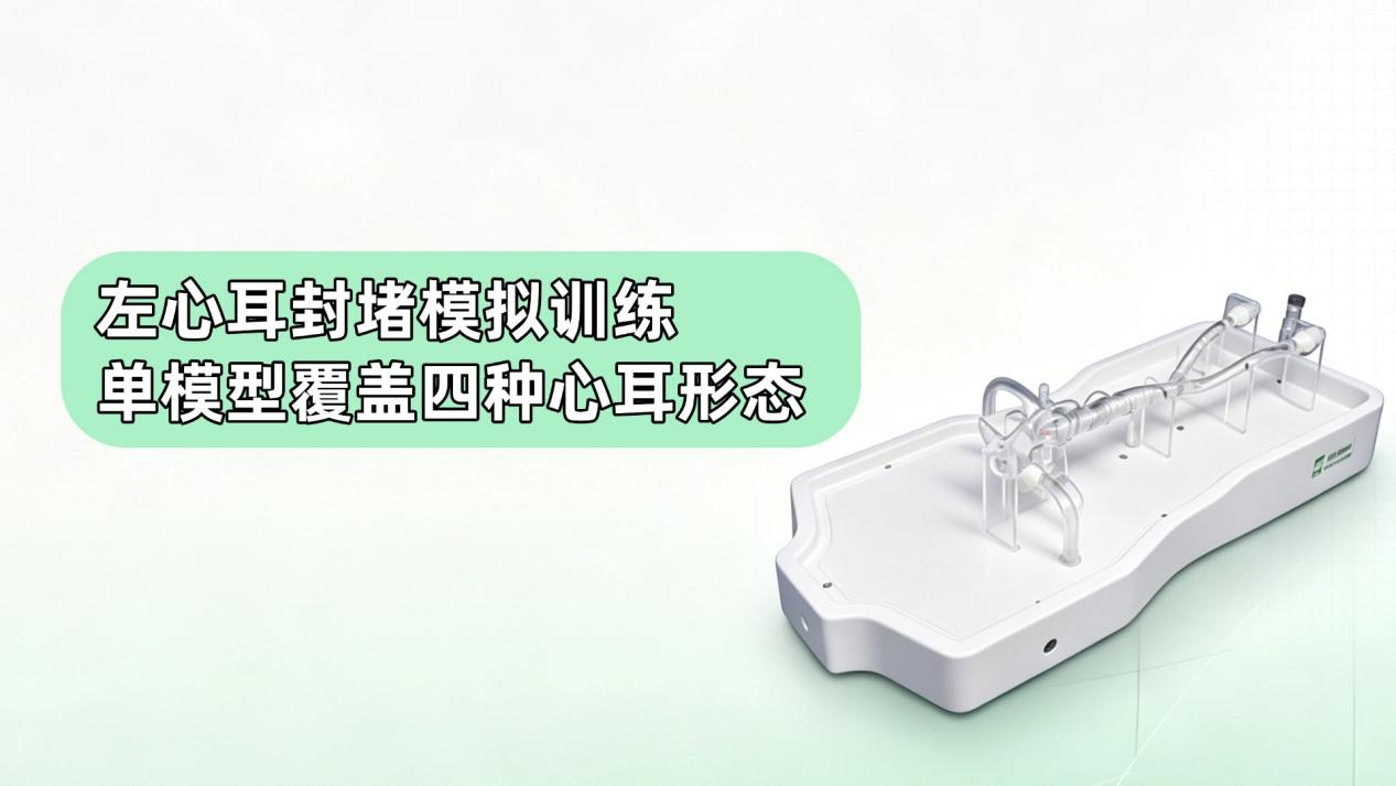 左心耳封堵训练：四种心耳形态如何在一套模型上练全？