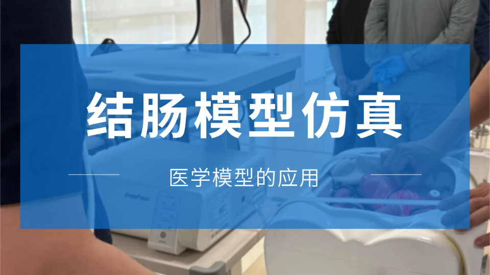 璞临医疗结肠模型，如何承载从基础进镜到活检的全流程训练？