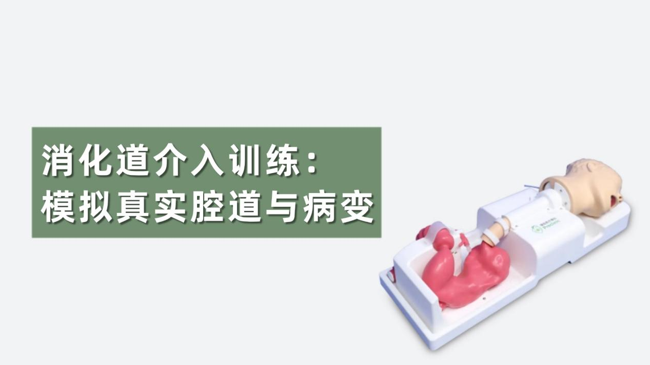 消化道介入训练：如何模拟真实腔道与病变？