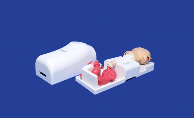 璞临医疗消化道介入训练模型.png 璞临医疗消化道介入训练模型.png