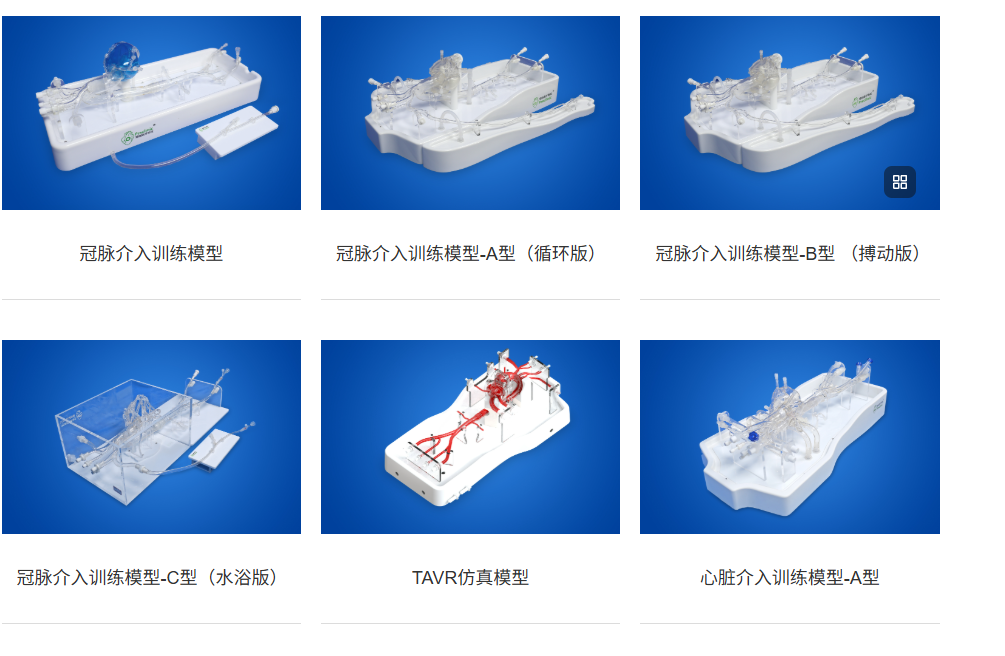 医疗培训硅胶心脏血管的类型（部分）.png